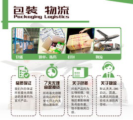 春光食品 海南特產 果干 椰子脆片60g 6 原味 傳統木炭烘烤 易攜